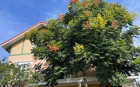 Bich Dao Boutique - Dalat
