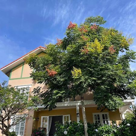 Hotel Bich Dao Boutique - Dalat Zewnętrze zdjęcie