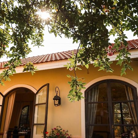 Hotel Bich Dao Boutique - Dalat Zewnętrze zdjęcie