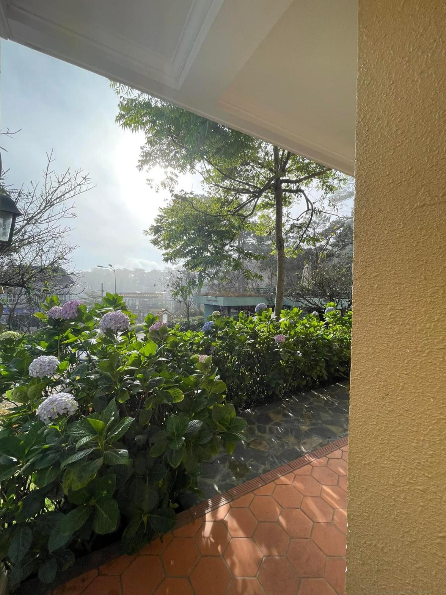 Hotel Bich Dao Boutique - Dalat Zewnętrze zdjęcie