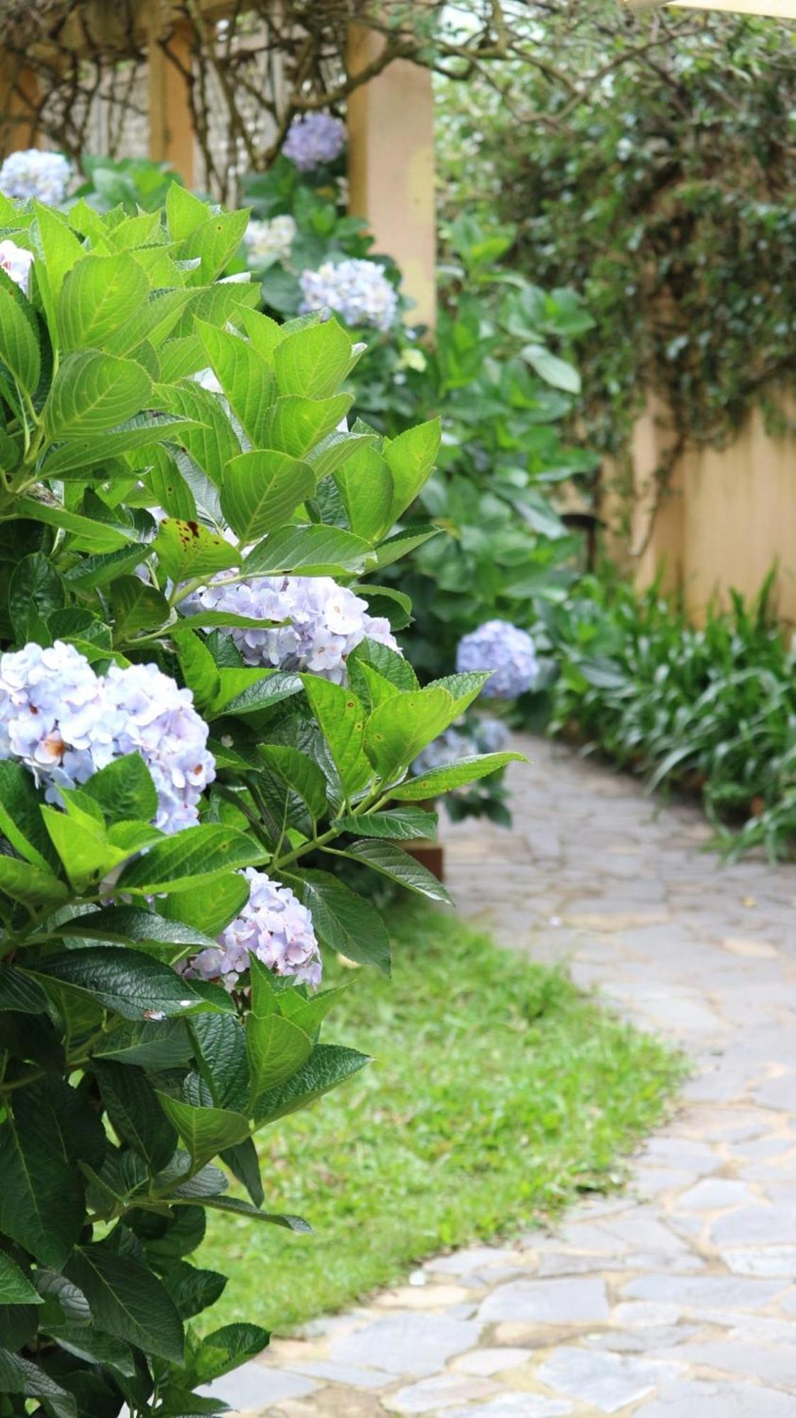 Hotel Bich Dao Boutique - Dalat Zewnętrze zdjęcie
