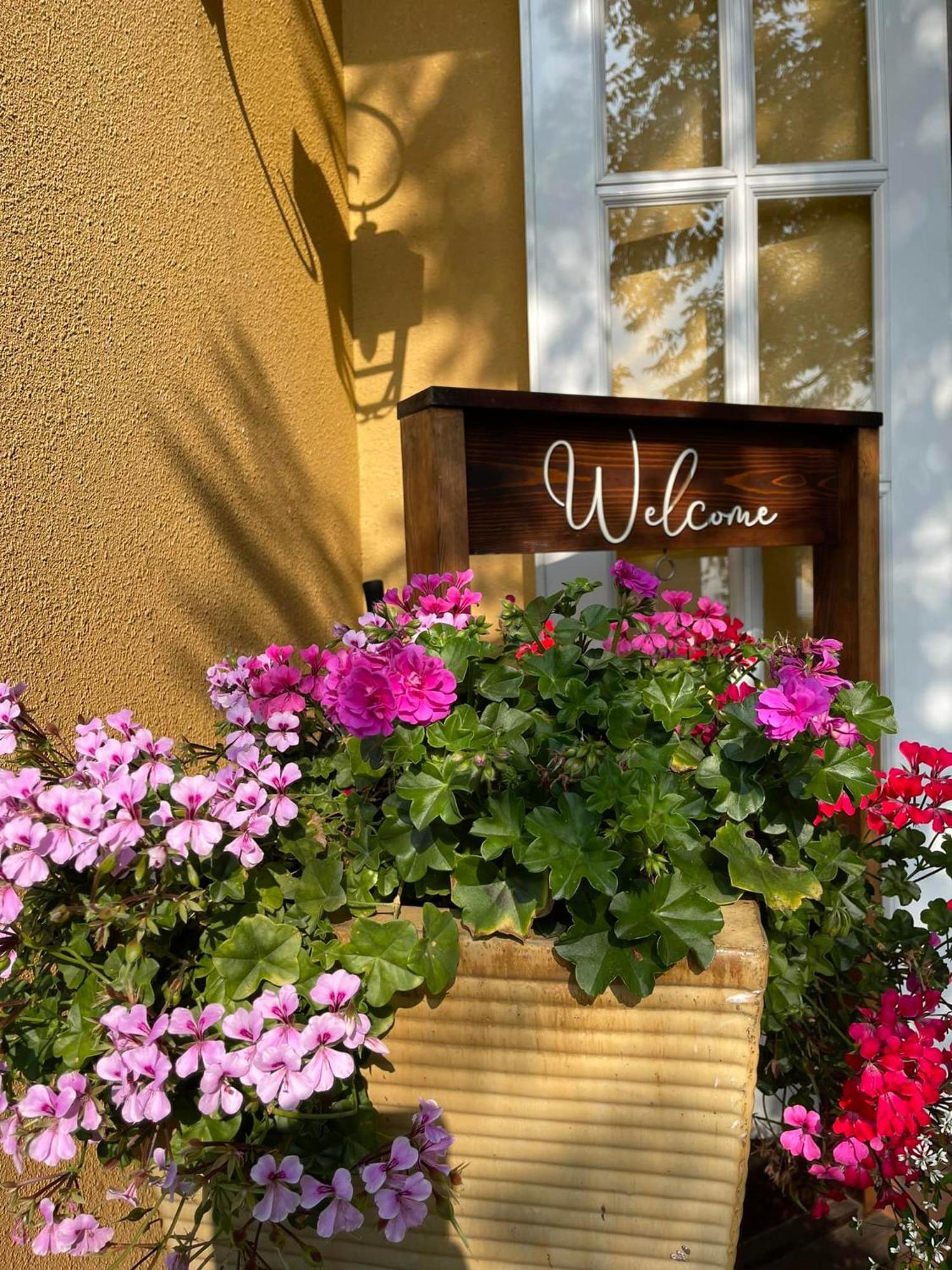 Hotel Bich Dao Boutique - Dalat Zewnętrze zdjęcie