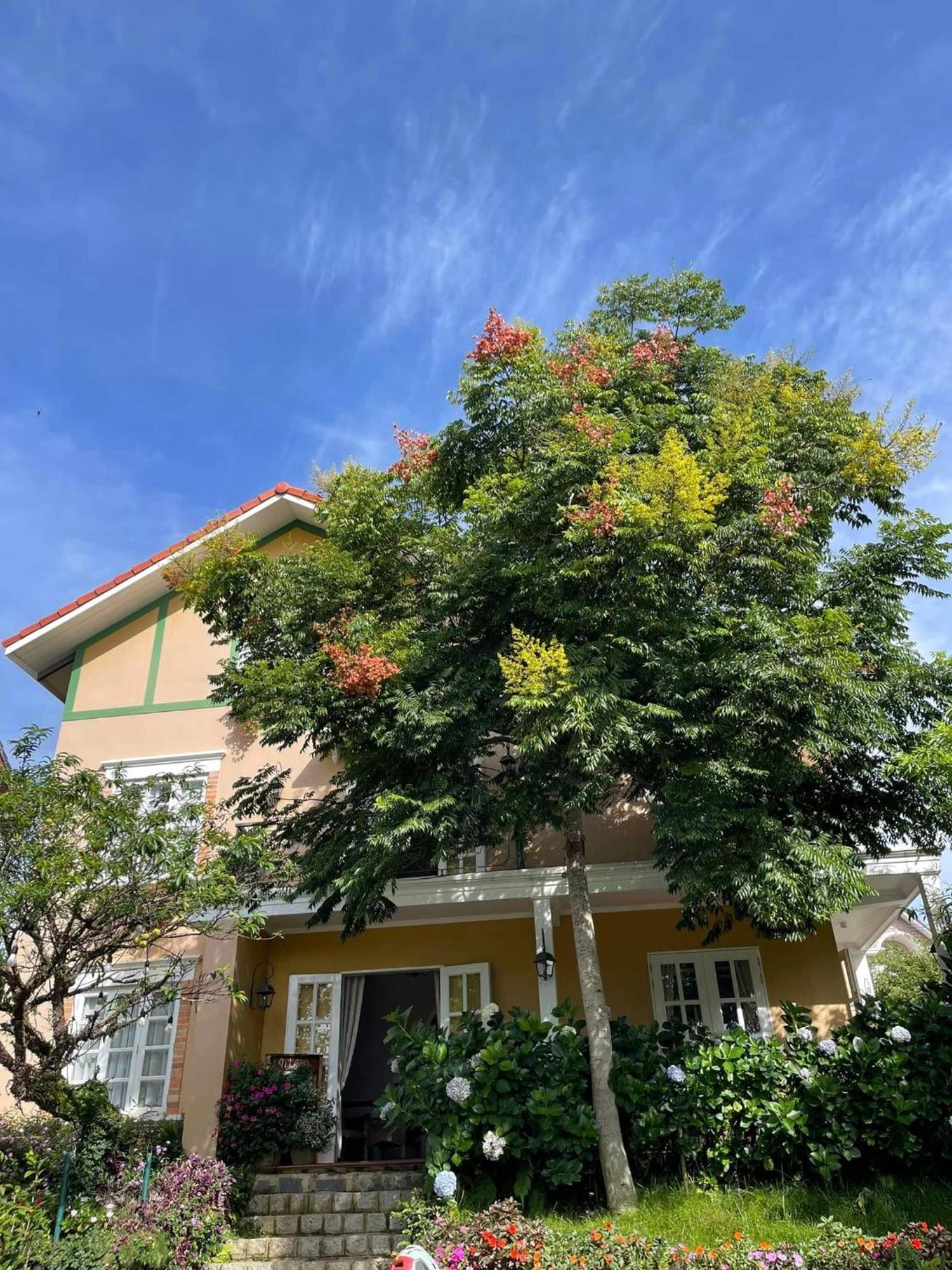 Hotel Bich Dao Boutique - Dalat Zewnętrze zdjęcie