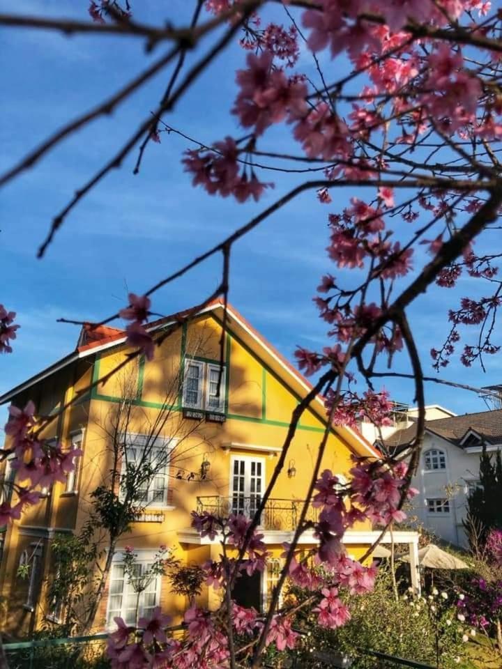Hotel Bich Dao Boutique - Dalat Zewnętrze zdjęcie