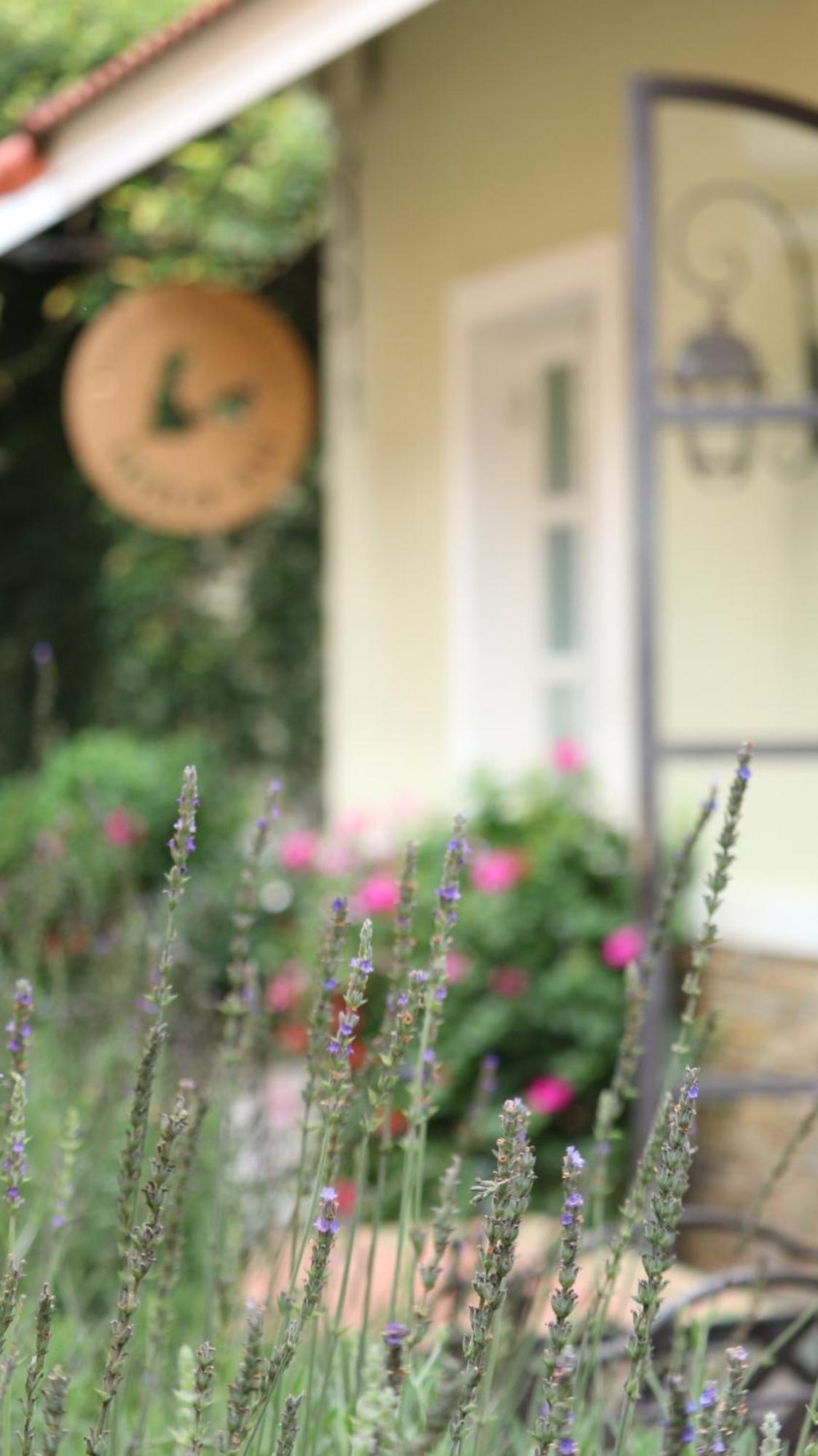 Hotel Bich Dao Boutique - Dalat Zewnętrze zdjęcie