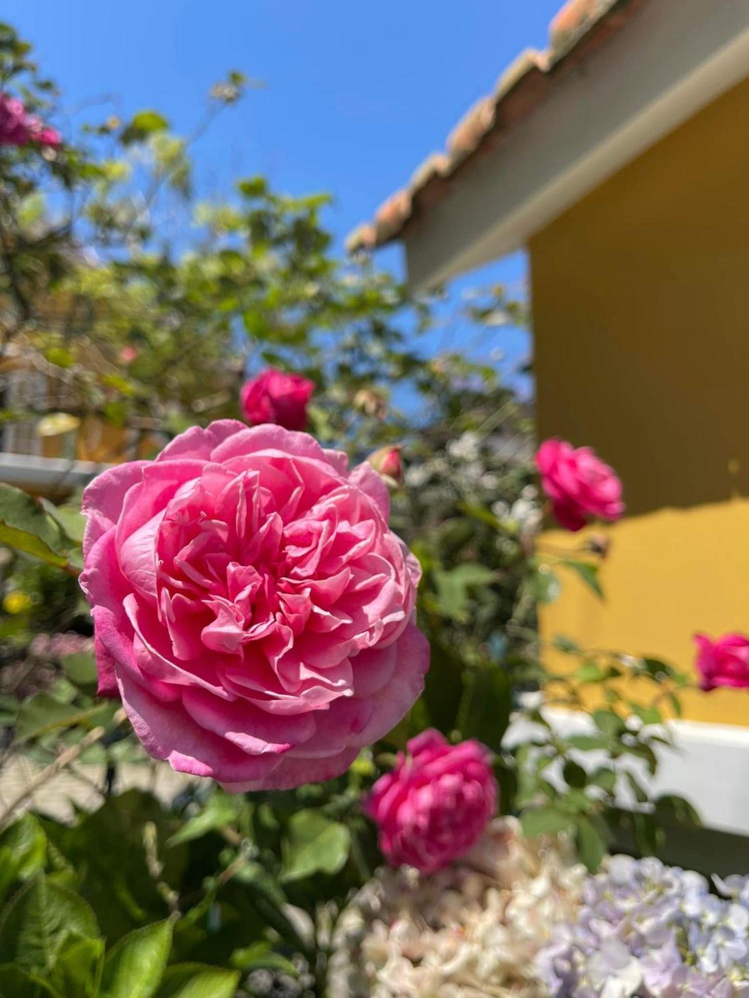 Hotel Bich Dao Boutique - Dalat Zewnętrze zdjęcie