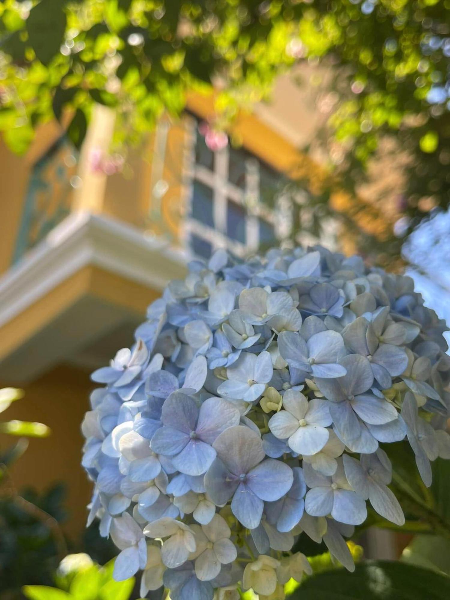 Hotel Bich Dao Boutique - Dalat Zewnętrze zdjęcie