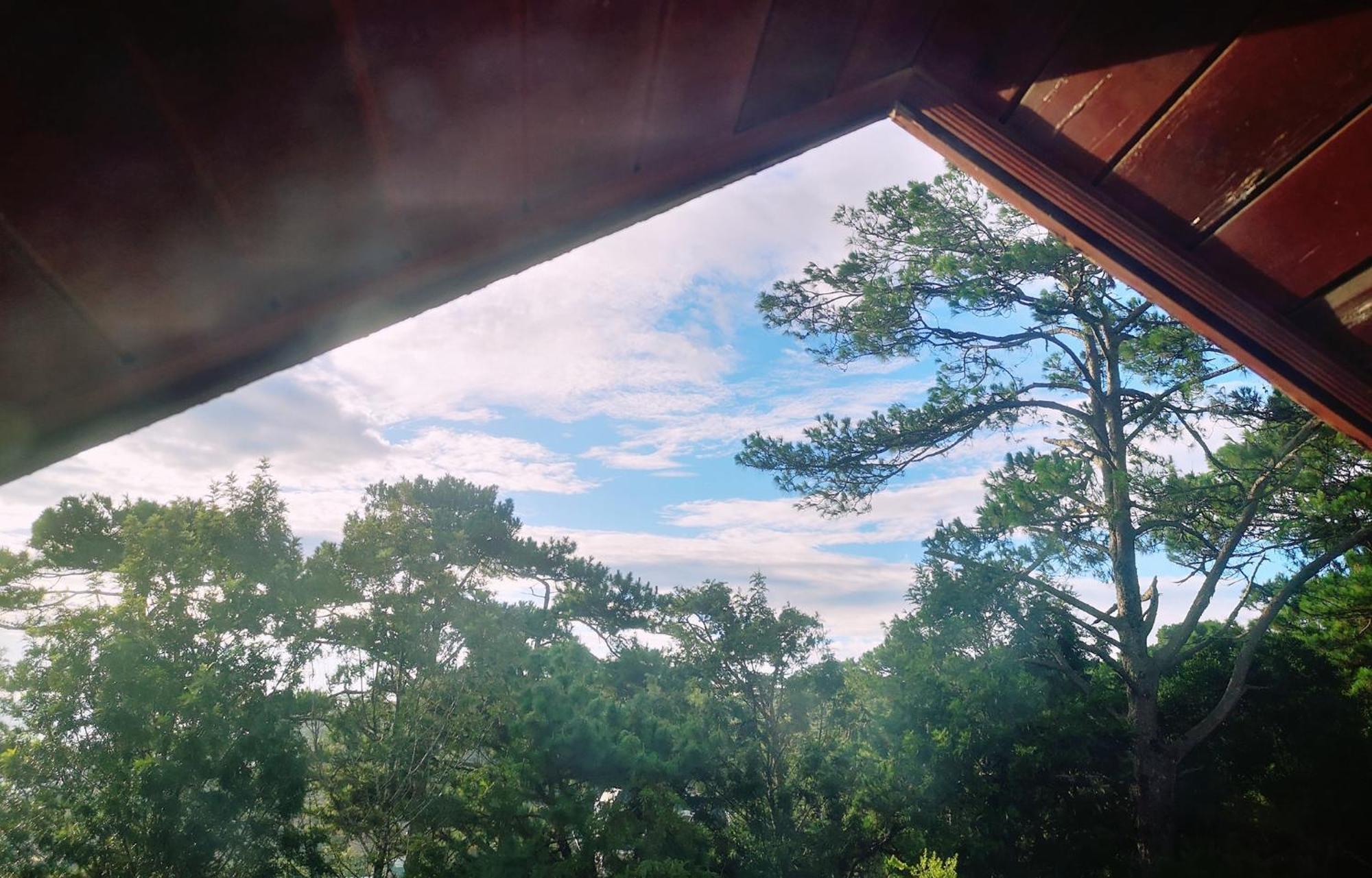 Hotel Bich Dao Boutique - Dalat Zewnętrze zdjęcie